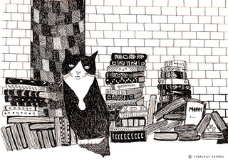 cat_books.jpg