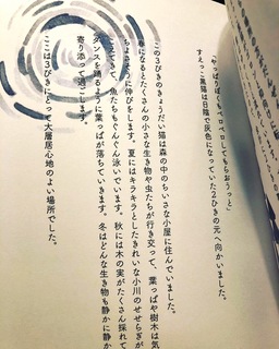 D12CBF04-A5A6-46B7-89C6-4A8F1B182FA2.jpg