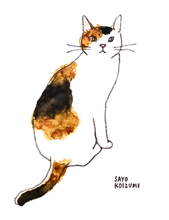 sayokoizumi02.jpg