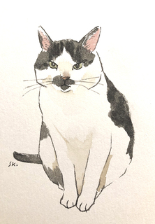 sayokoizumi04.jpg